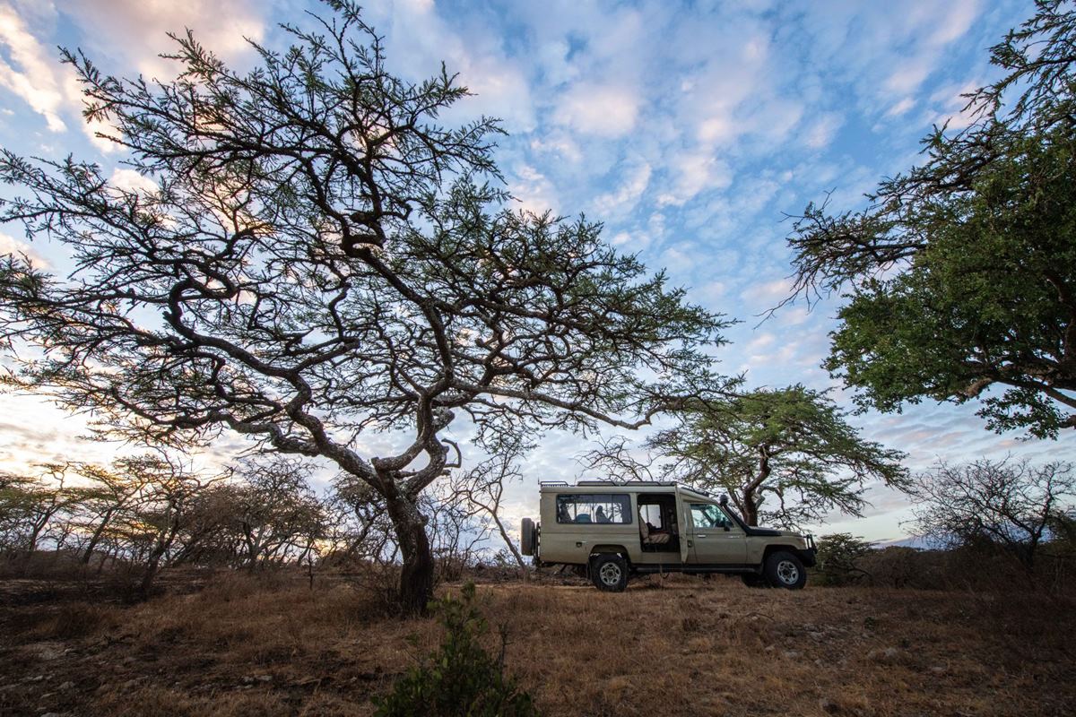 Manyara's Secret en su destino